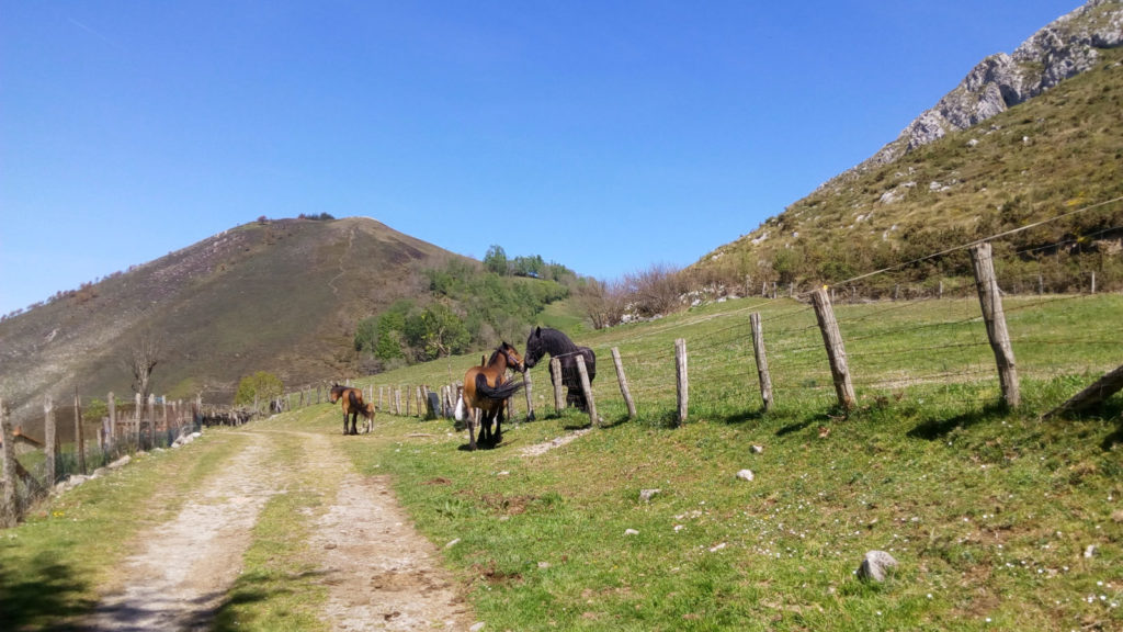 Vivir en el campo